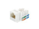 Keystone Jack CAT6 UTP Genuine 90 White