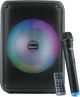 Impex Multimedia Portable Speaker System ( TS 4001)