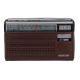 Krypton FM Radio with BT/USB/TF