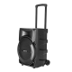 Krypton 12 Inch Portable Speaker USB/SD/FM/BT/Mic/Remote KNMS6072