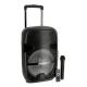 Krypton Portable & Rechargeable Trolly Party Speaker