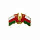 Oman National Flag Metal Badge with magnet -12 pcs set