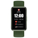 Swiss Military Rhine 2 Band Green Frame Green Silicon Strap GRNFGRNS