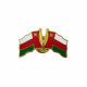 Oman National Flag Metal Badge with magnet -12 pcs set